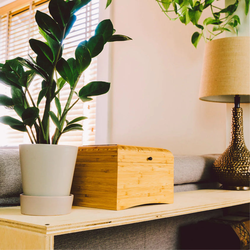Eco Home® Urn
