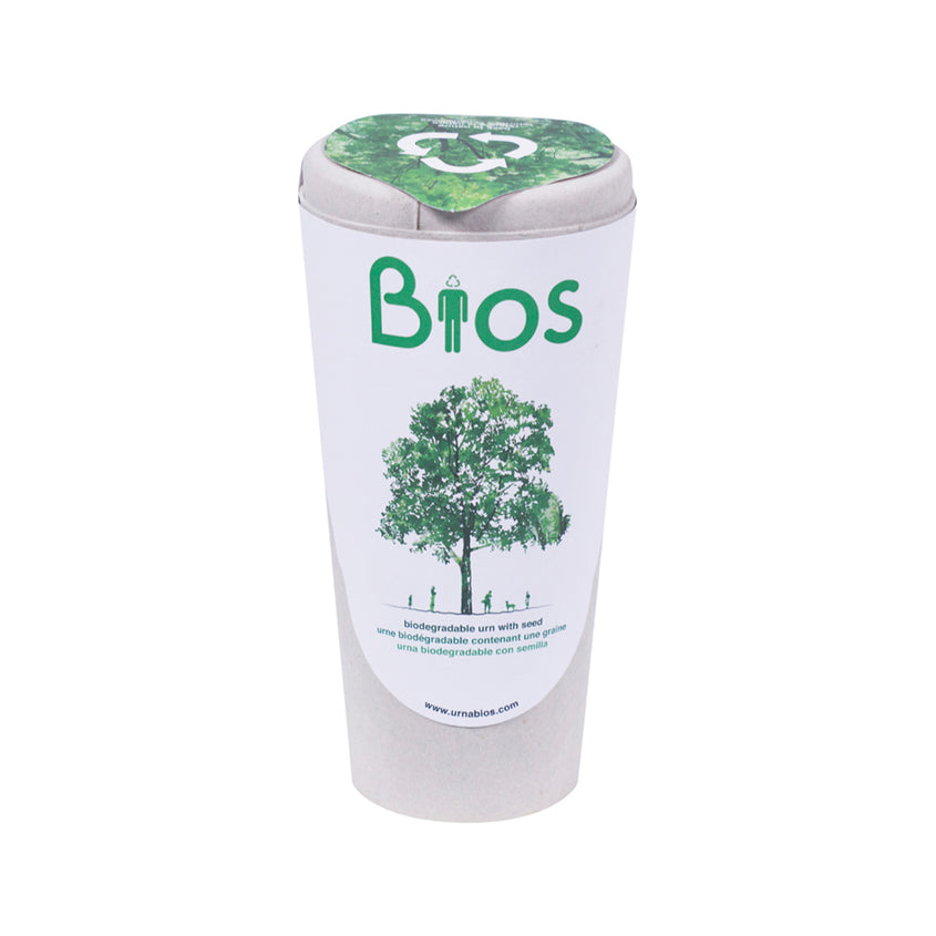 Bios Cremation Urn