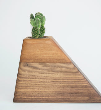 Planturn™ Medium in Walnut and Sycamore